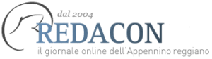 Logo Redacon